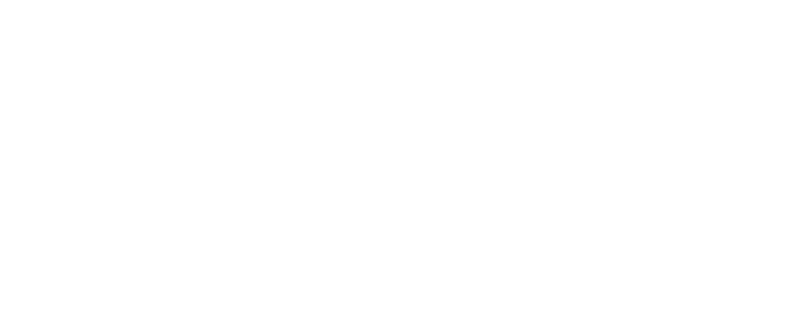 ACEOC 25 years logo