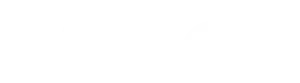 iVision logo